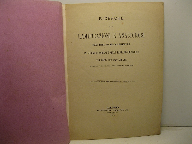 Ricerche sulle ramificazioni e anastomosi delle fibre dei muscoli dell'occhio in alcuni mammiferi e nelle tartarughe marine. Estratto dal Giornale di Scienze Naturali ed Economiche, vol. XI, 1875